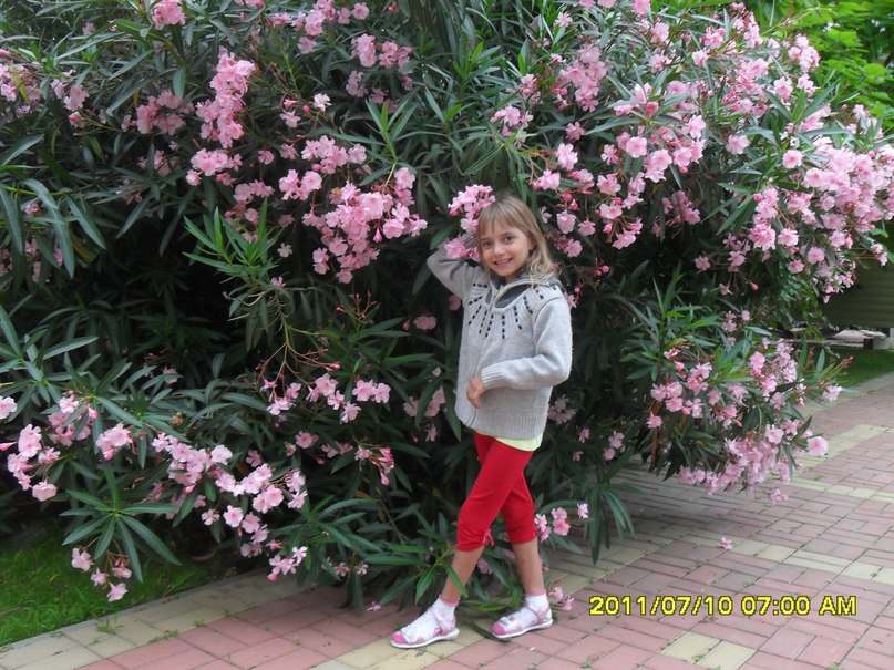 Александра Дмитриева | Великий Новгород