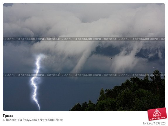 Алексей Калинин | Краснозаводск