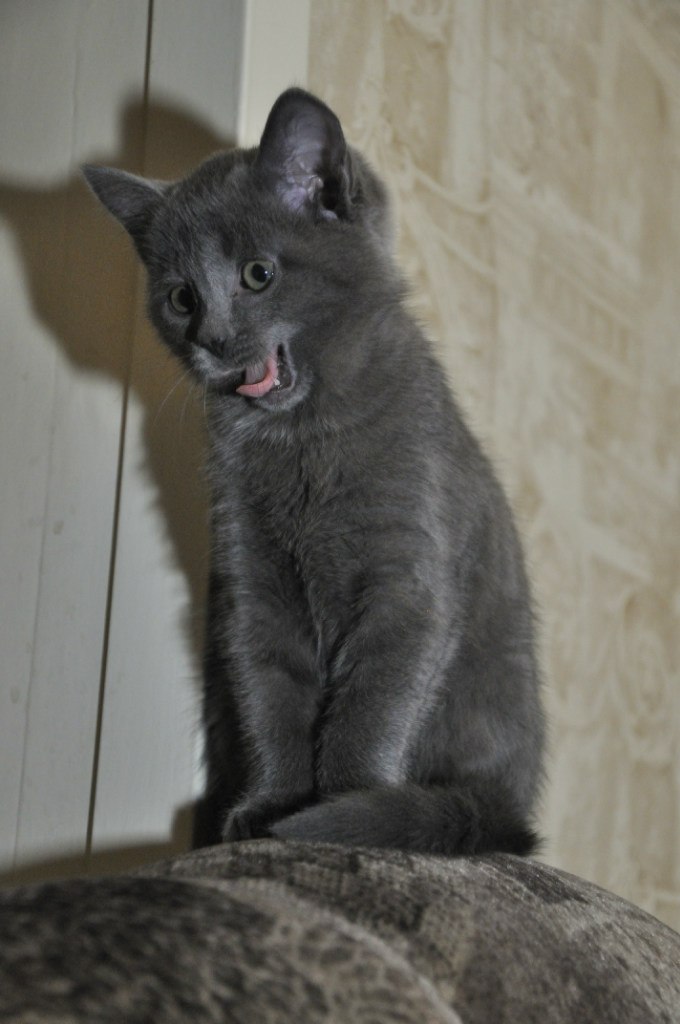 Елена Третьякова | Новосибирск