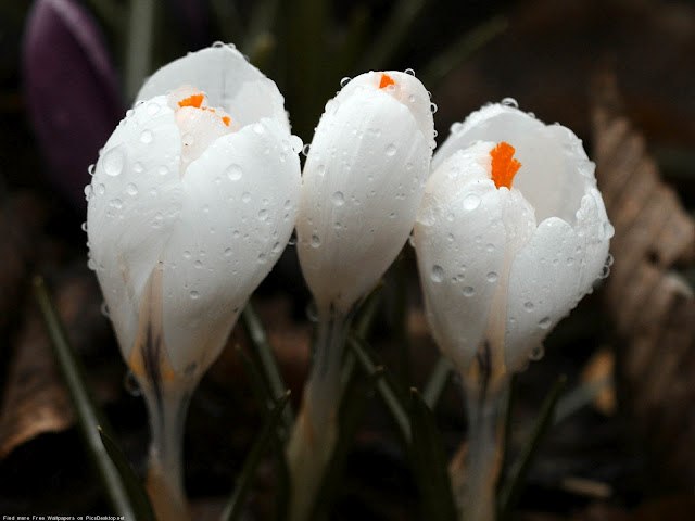 Мария Коновалова | Геленджик