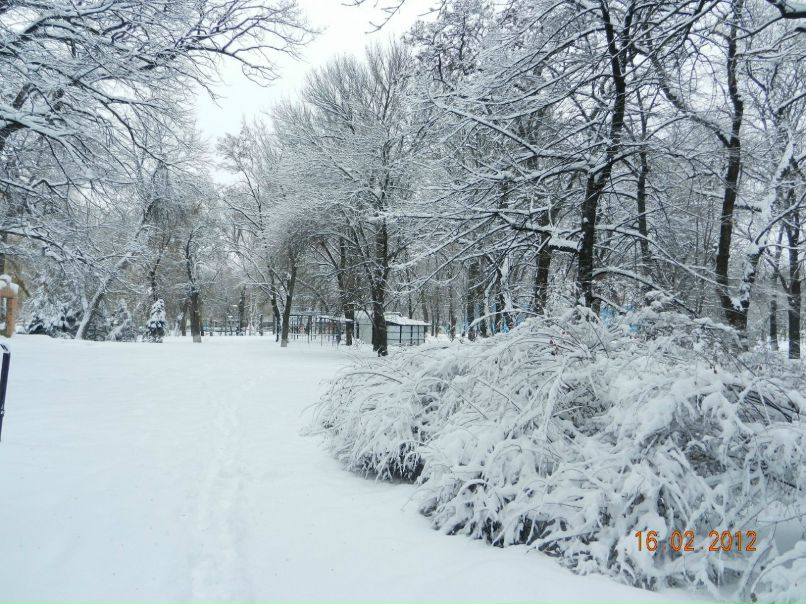 Юрий Малина | Луганск