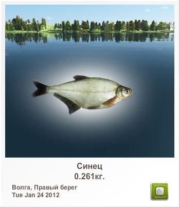 Андрей Николаев | Вологда