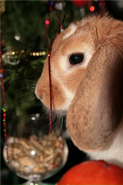 №110, Газинур Назмутдинов, Кстово №110, Газинур Назмутдинов, Кстово