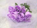 №17 Наталья Кичева