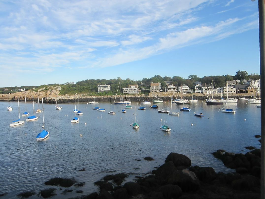 Maria Shabaeva | Boston