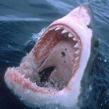 Станислав Климович | Гомель