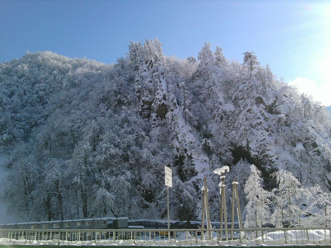 Дмитрий Евдокимов | Всеволожск