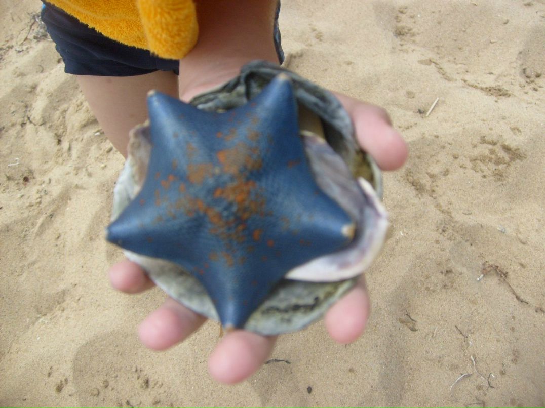 Alena Petyurkanova все отлично Petyrkanova- | Якутск