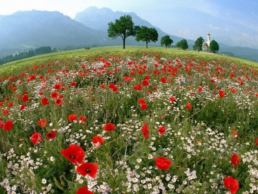 Ильдар Мангушев | 