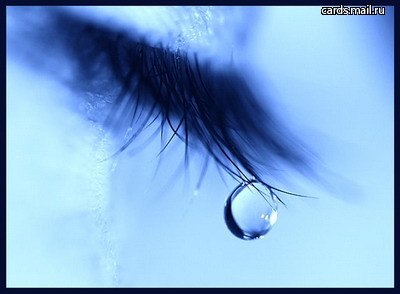 Виктория Лысенко | 