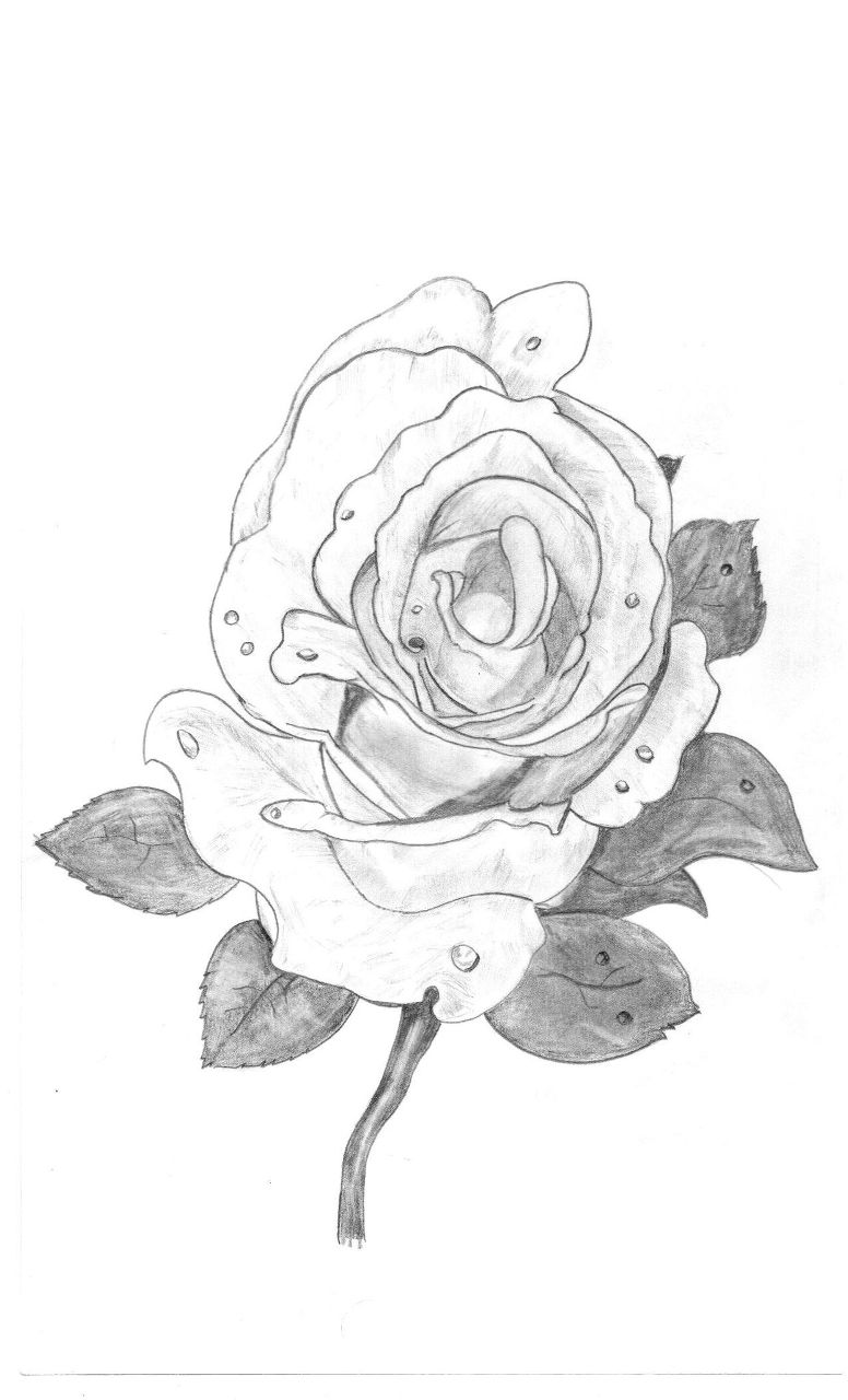 Максим Трайдакало | Одесса