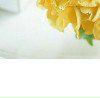 Ваня Старокожев | Калининград