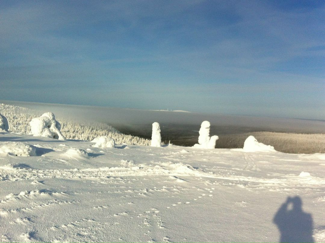 Сергей Обложок devys | Мурманск