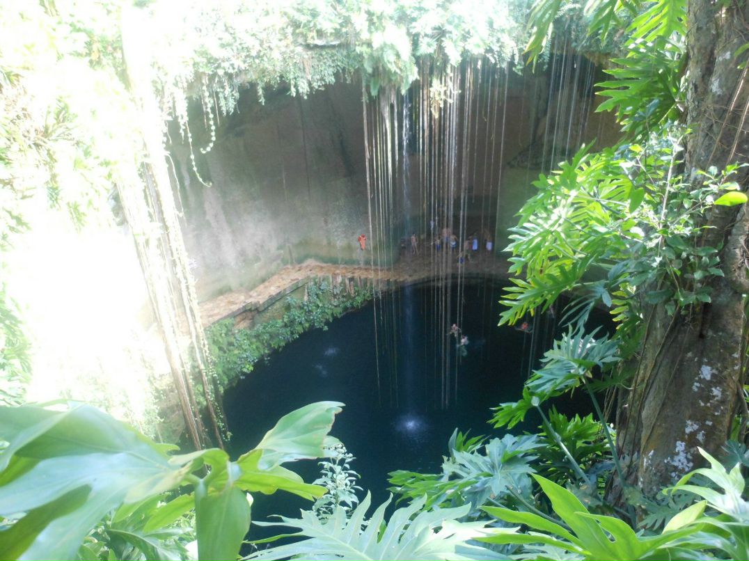 Тарас Пігура | Chicago