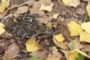 №35 Екатерина Крыга : профиль, фото, статус - ВКонтакте