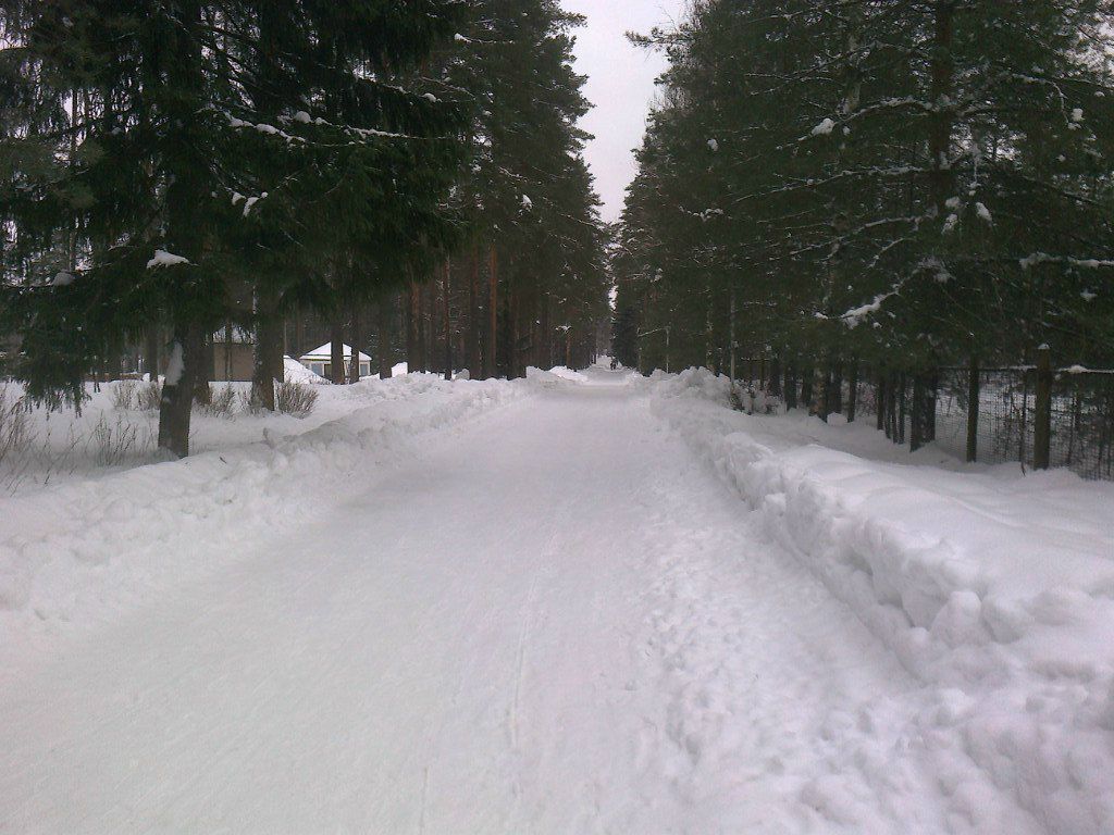 Александр Клементьев | Санкт-Петербург