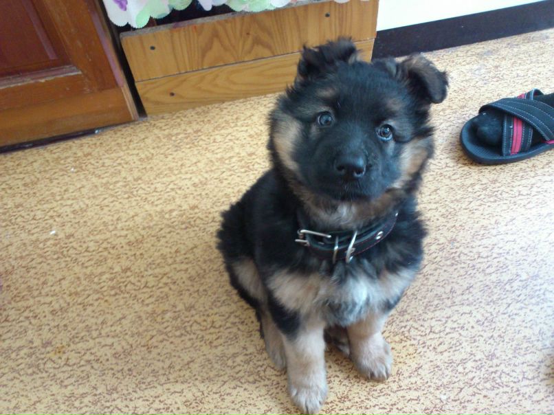 Алексей Лыткин Алексеевич | Сыктывкар