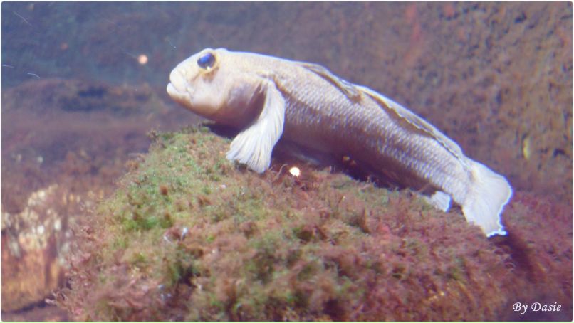 Дана Нурченкова | Thessaloniki