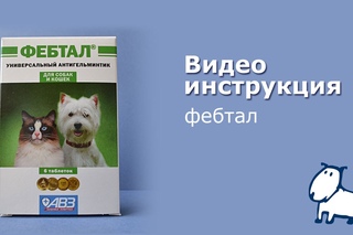 Фебтал - видео инструкция.