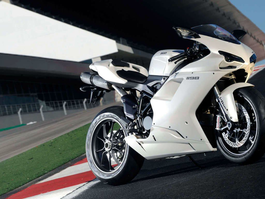 Алексей Лардыгин | Барнаул