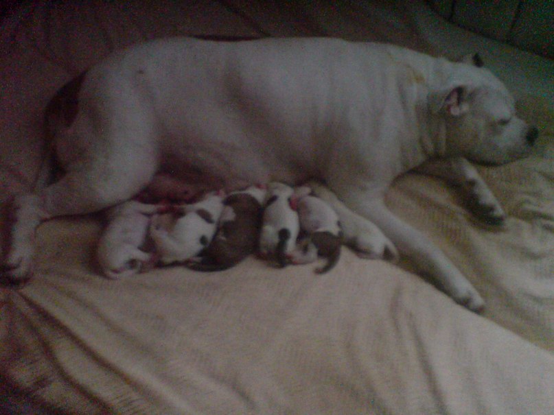 Жека Раджабов | Киев