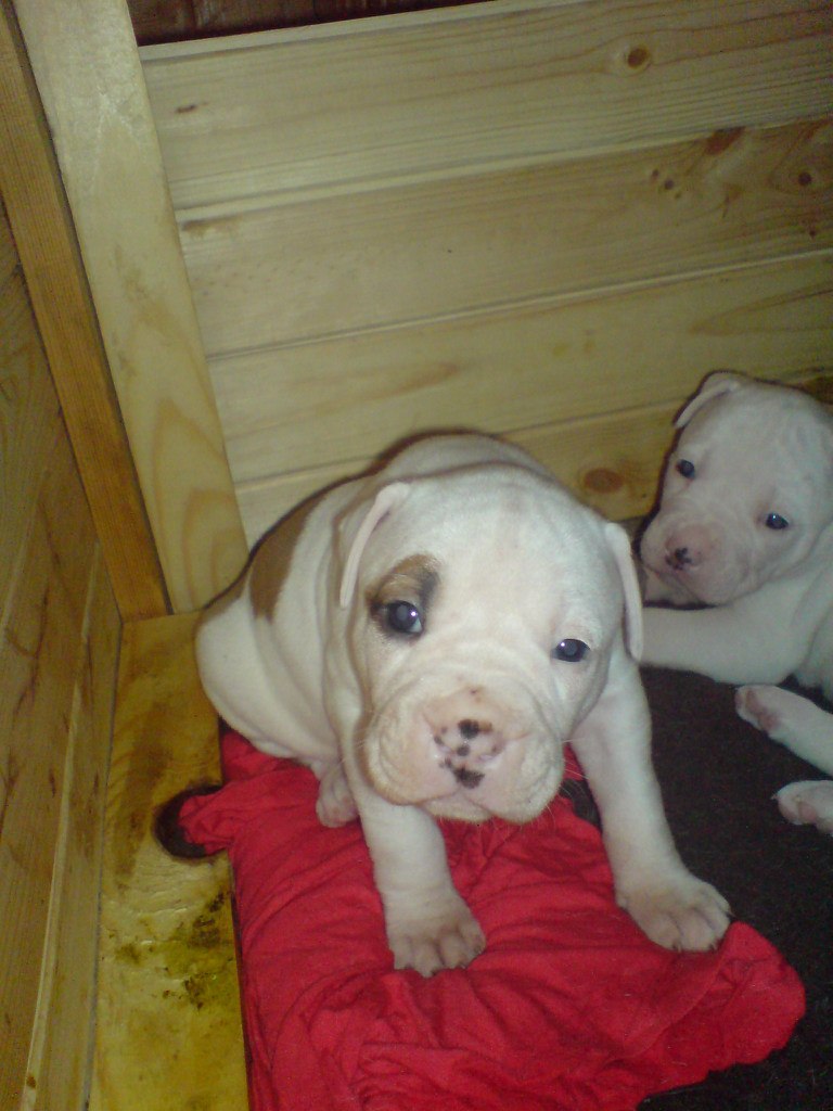 Жека Раджабов | Киев