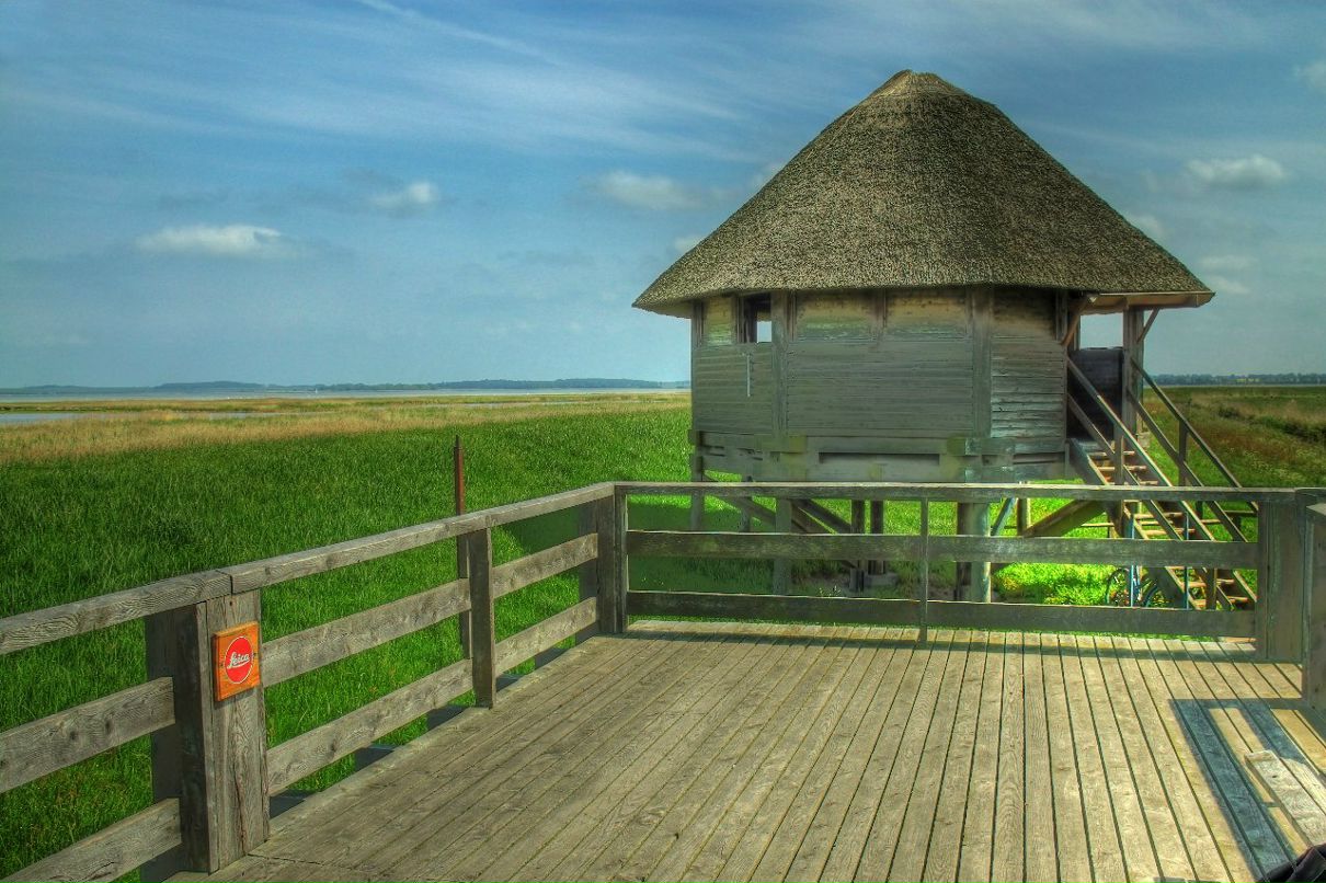 Борис Батчурин | 