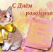 Егор Соловьев фотография #47