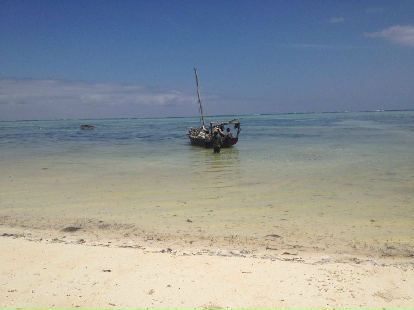 Demetry Liuntou | Могилёв