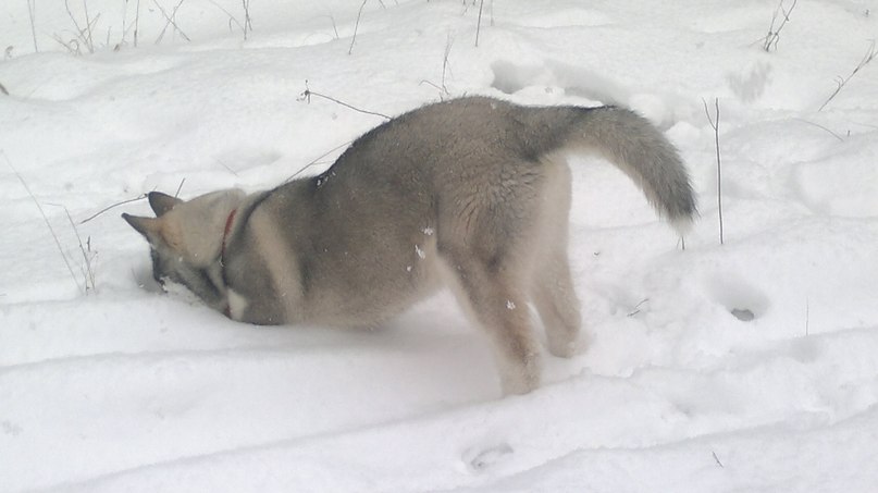 Екатерина Ермолова | Москва