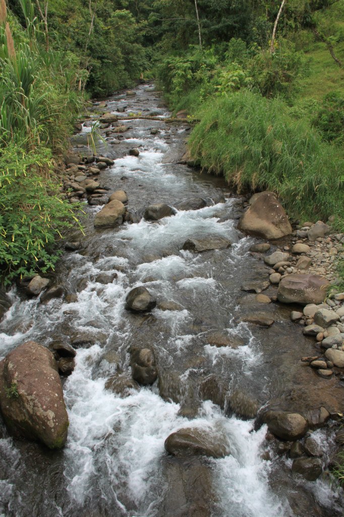 Виктория Мусина | Казань