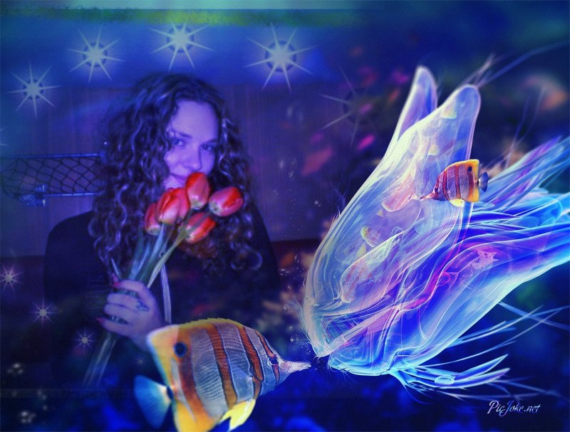 Наташа Алина | 