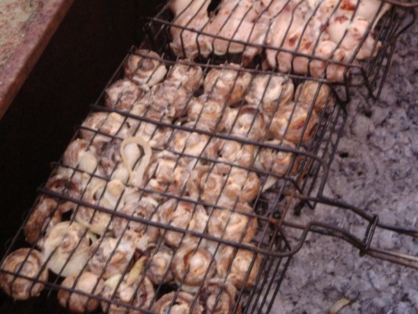 Илья Курихин | Самара