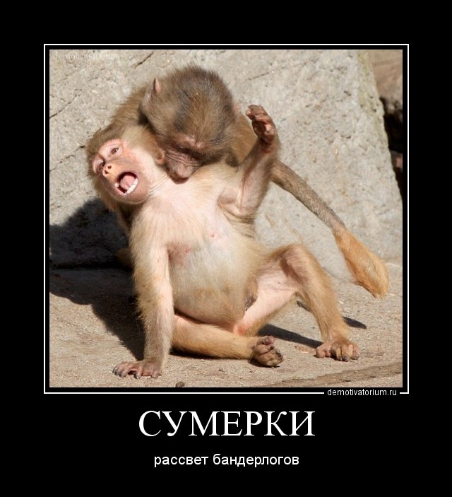 Айгуль Нестеренко | Москва