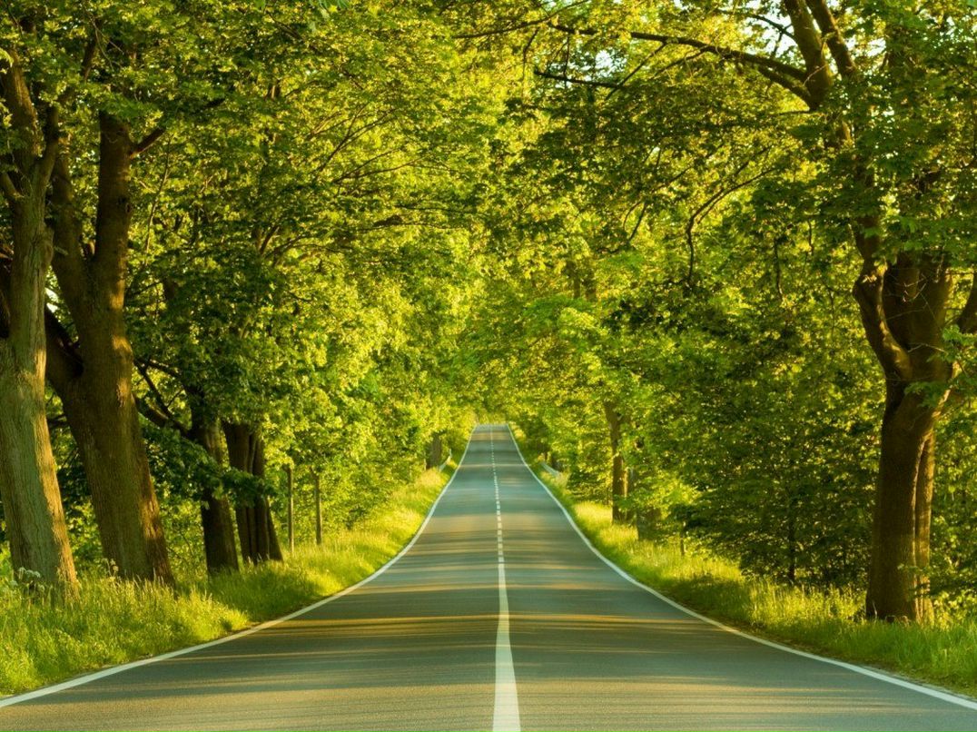 Кристина Дорофеева Амба | Армавир