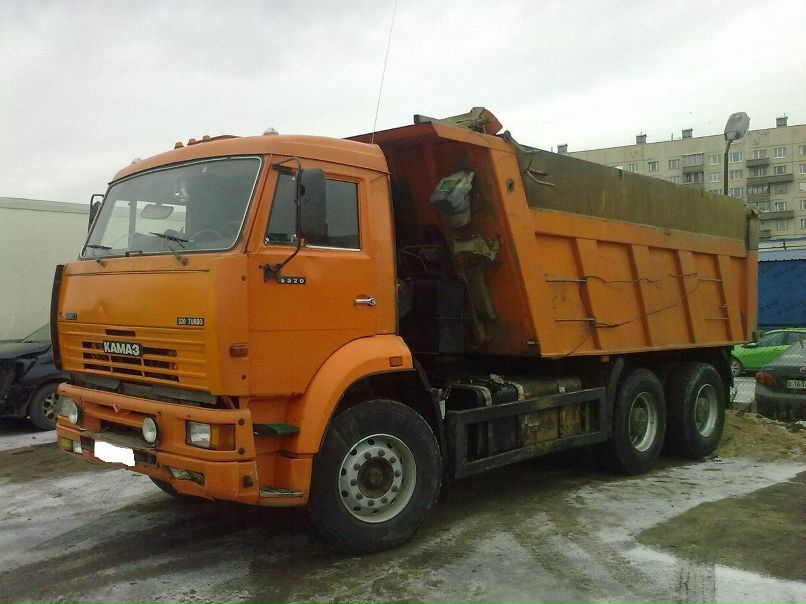 Медведь Таптыгин | Санкт-Петербург