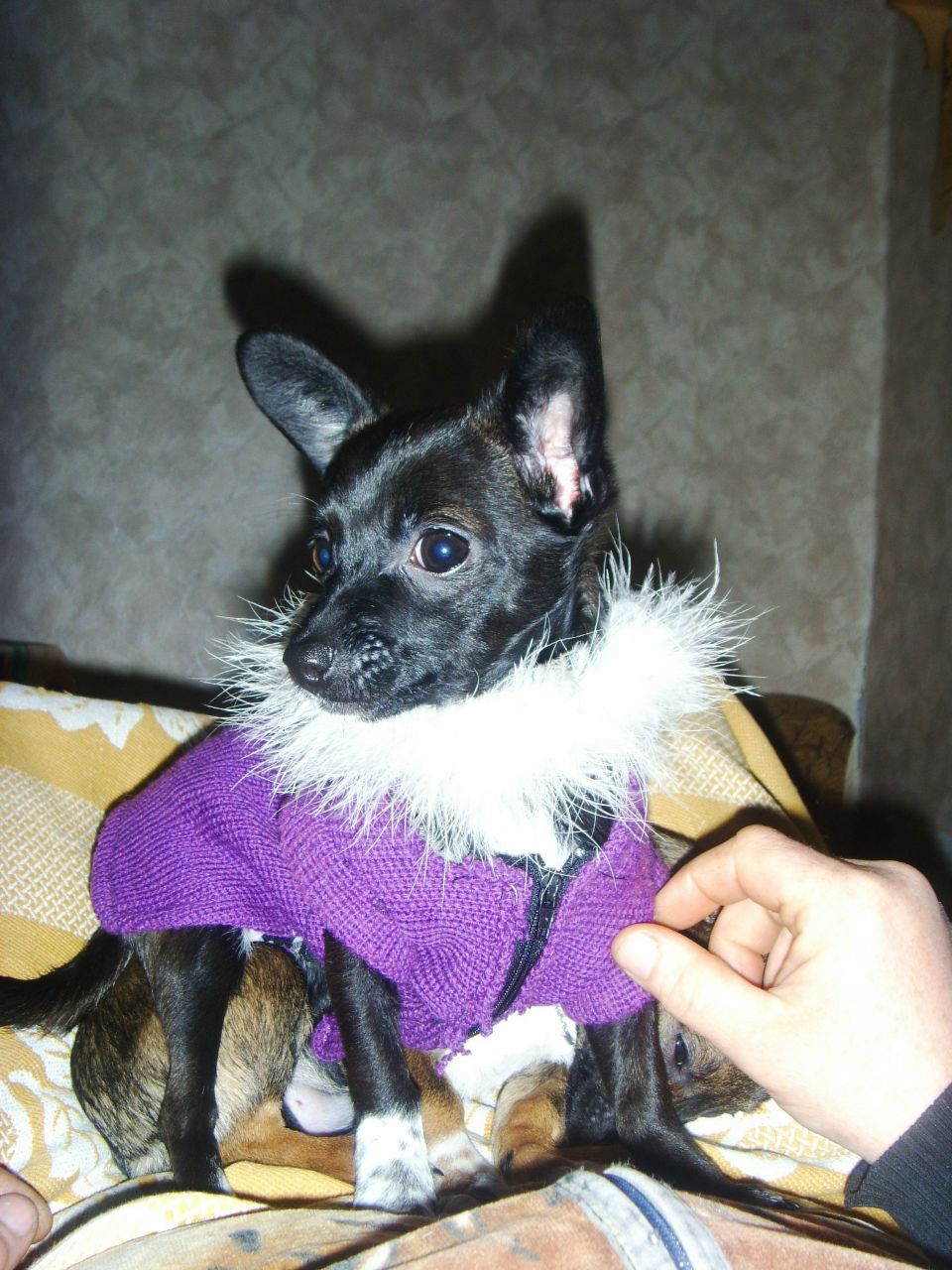 Игорь Ядвижак ☺ | Сычавка