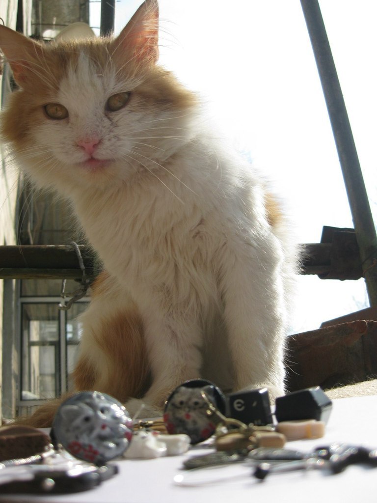 Nadia Yankiv ♥Oops6onok♥ | Львов