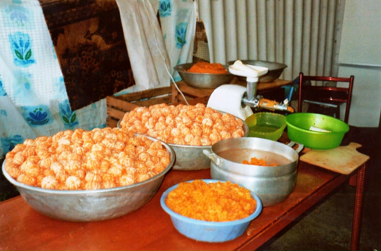 Ольга Старшинова - ostar - | Москва