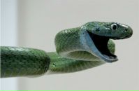 №20 Серёга Смирнов 13.04: профиль, фото, статус - ВКонтакте