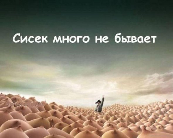 №37, Александр Москалёв, Мелитополь №37, Александр Москалёв, Мелитополь
