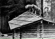 Фотография Алексей Власов
