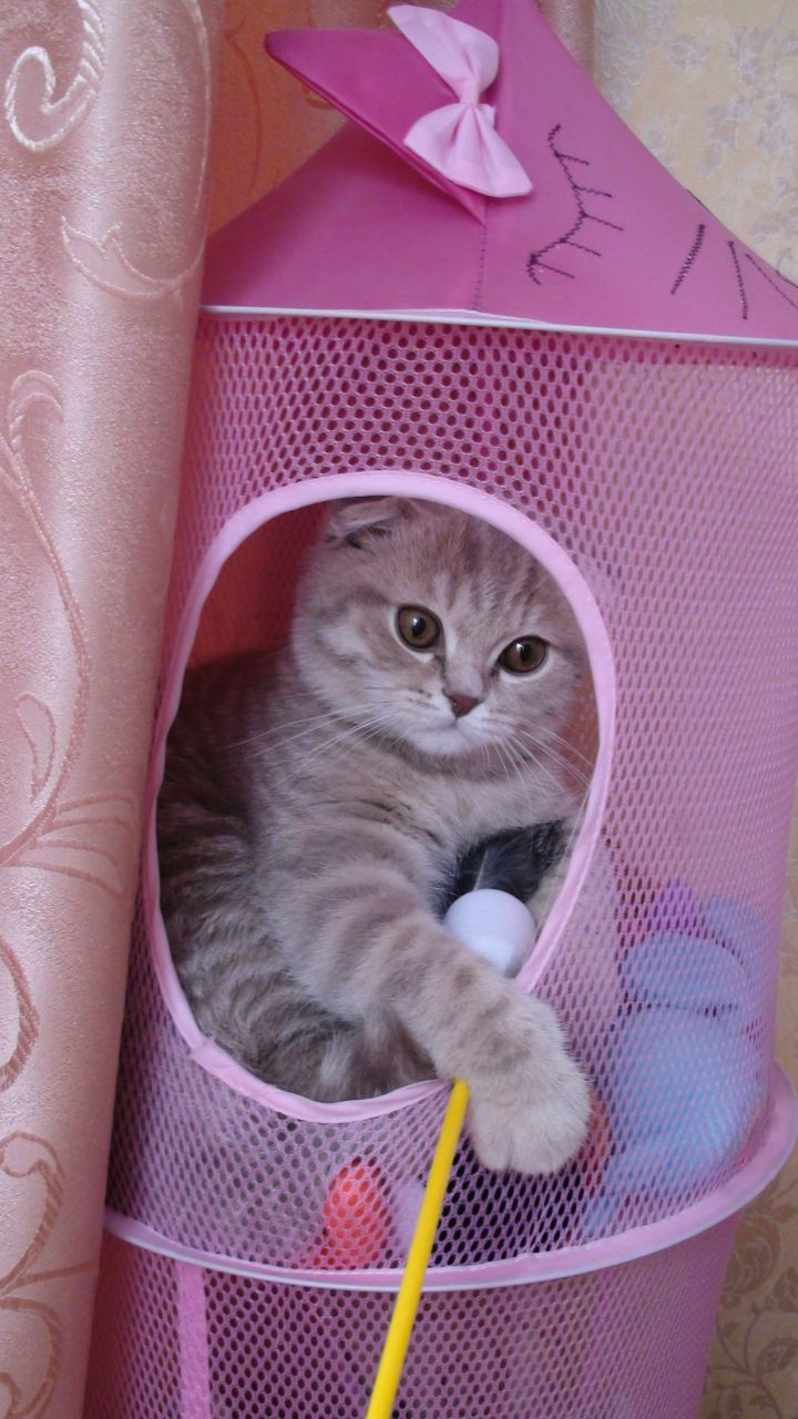 Марина Авдеева | Москва