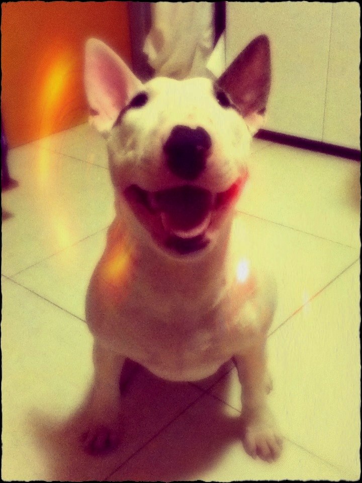 Артем Енот ...[c1rca]✖ | San Donato Milanese