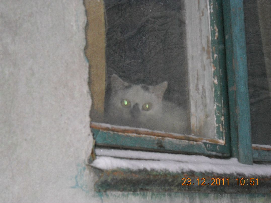 Юрий Бурыкин | Брянск