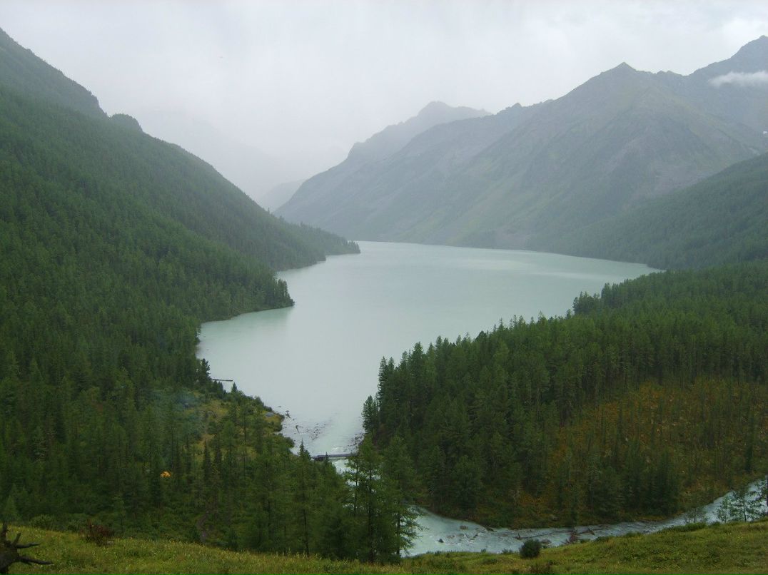 Дмитрий Поляков | 