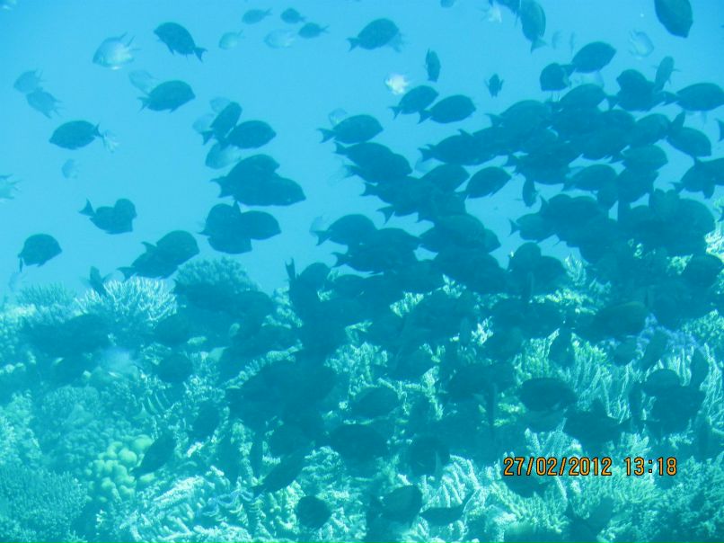 Алёна Крупнова | Ногинск