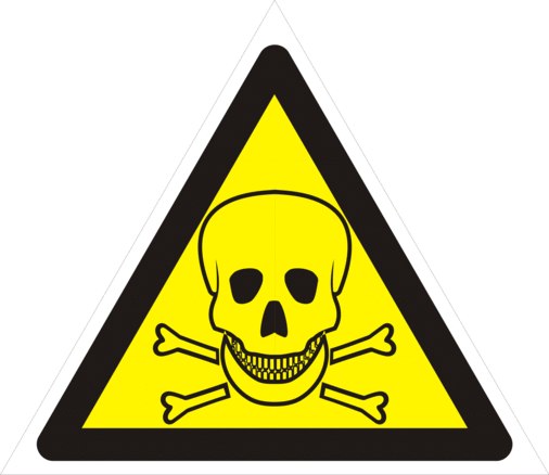 Алексей Чапкин | Сочи