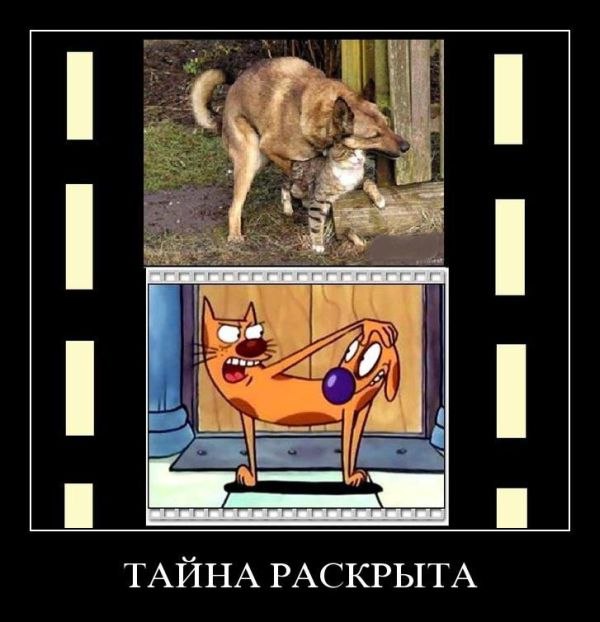 Дмитрий Чуриков | Воронеж