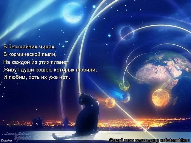 Таня Томина | Москва